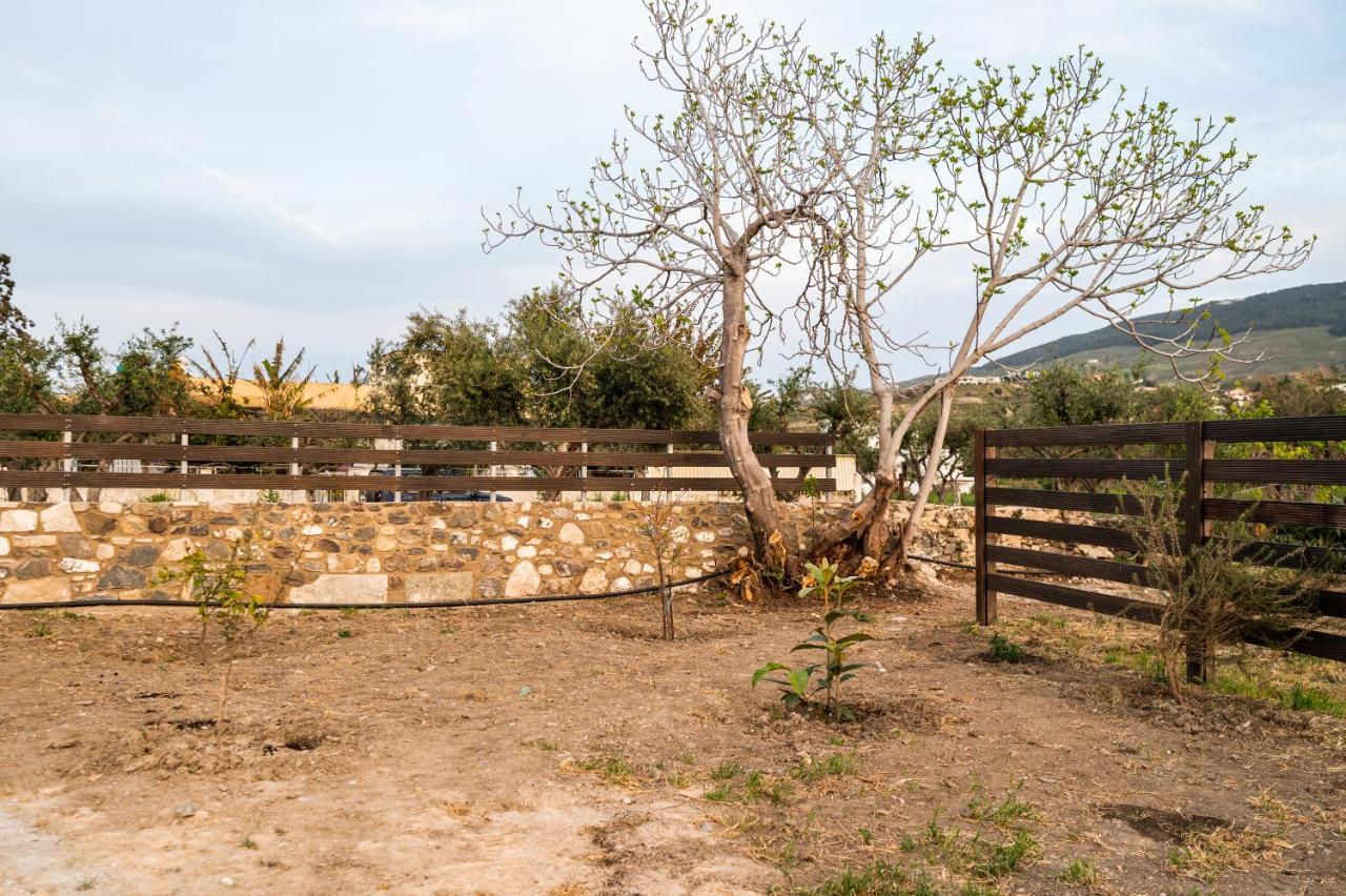 Paradisi Stone House Kos Bagian luar foto