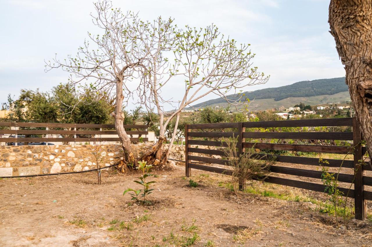Paradisi Stone House Kos Bagian luar foto