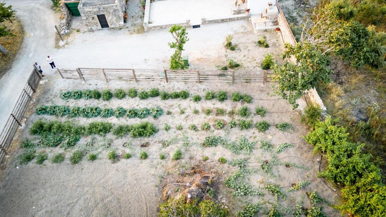 Paradisi Stone House Kos Bagian luar foto